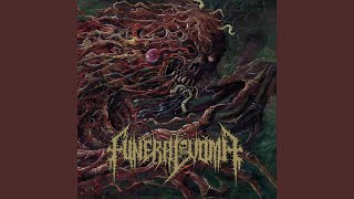 Music video thumbnail preview for Necrophoric Infestation by Necrofucker