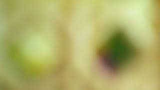 Download lagu Tak berdaya(Mirnawati) mp3