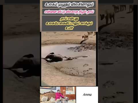 அம்மா காவல் தெய்வம்