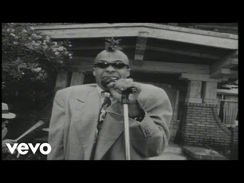 Fishbone - It's a Wonderful Life (Gonna Have a Good Time) (Video) online metal music video by FISHBONE