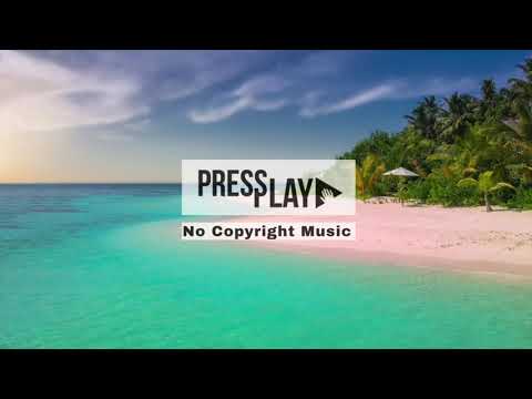 Jonas Schmidt Ft. Henrikz - Fall Again (No Copyroght Music)#NoCopyrightMusic #VlogMusic #Vlogging