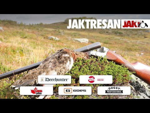 Jaktresan: Ripjakt i natursköna Härjedalen