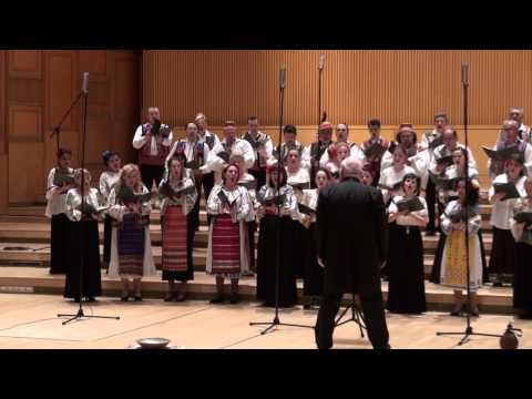 Gheorghe DANGA  - Sarba pe loc