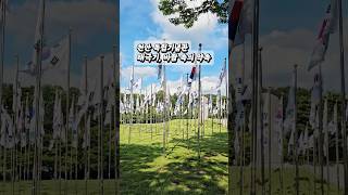 광복 80년 특별전 '태극기, 바람 속의 약속' 전시 후기 | 광복 80년 서포터즈