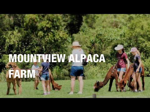Mountview Alpaca Farm