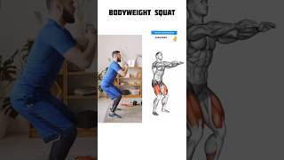 Download lagu Bodyweight Squats: How To Do And Muscles Worked #legdayworkout #gymbros #lowerbodyexercises mp3