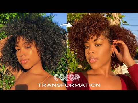 download lagu mp3 mp4 Copper Brown Hair, download lagu Copper Brown Hair gratis, unduh video klip Copper Brown Hair