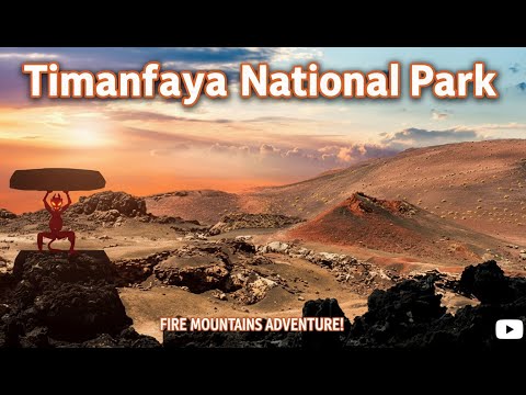 Camels, Volcanoes & Fire Mountains! Timanfaya National Park Experience | Lanzarote Vlog