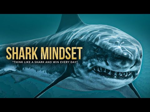 SHARK MINDSET | One of the Greatest Motivational Speeches Ever (ft. Walter Bond)
