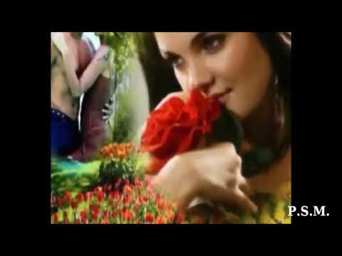 Antonello Venditti & Gato Barbieri - Modena Live