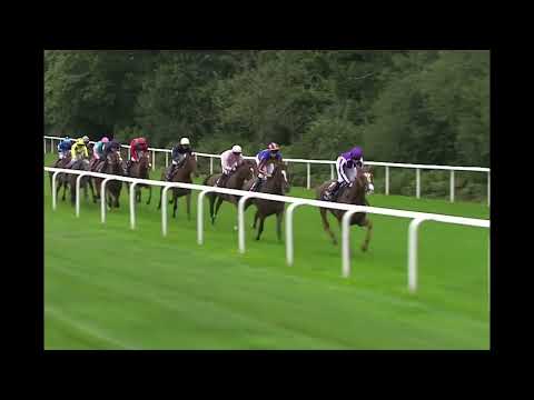 One Of The Greatest Horse Enable