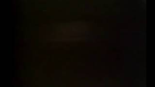 Bette Midler - Live at The Majestic Theatre (1980)