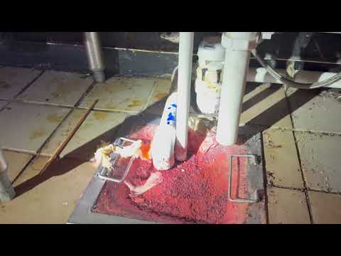 Restaurant Drains Clogged with Grease & Fruit Flies in Manalapan, NJ