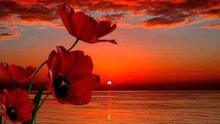 Feel The Fire  -Maysa-