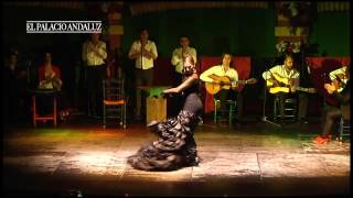 Espectáculo Flamenco en Sevilla | Tablao Flamenco El Palacio Andaluz