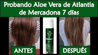 Aplico Gel de Aloe Vera de Mercadona en mi pelo durante 7 días y esto pasó {tinycosmetics}