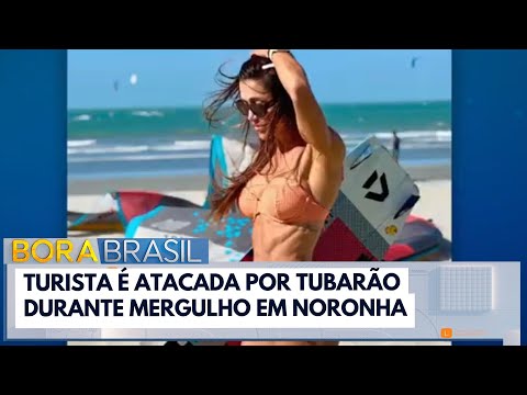 Turista é atacada por tubarão durante mergulho em Fernando de Noronha