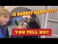 Do You Think Barney Is Doing Ok Let Us Know