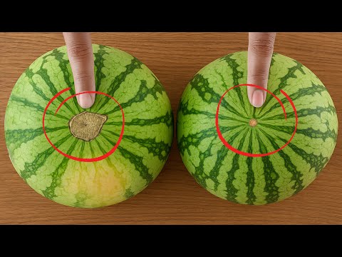 Just Look At These Points To Pick Fresh, Juicy Watermelons!
