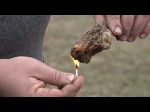 Boja meda ep.47 29.01.2019. - Langstrot-Rutova košnica, saradnja pčelara i voćara...