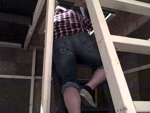 Brizzle & Beeze celebrate Ground's Hog Day!