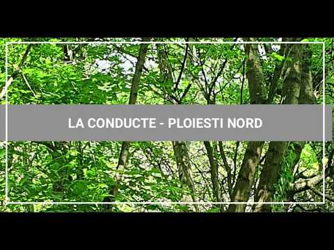 LA CONDUCTE | PLOIESTI NORD | 02 06 2020