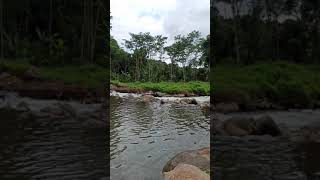 Download lagu Sejuk Sekali Suara Air Mengalir *untuk story WhatsApp mp3 Download lagu Sejuk Sekali Suara Air Mengalir *untuk story WhatsApp mp3