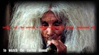 TRUE DETECTIVE - Theme Song. Lyrics. Far From Any Road