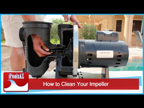 Part of a video titled Swimming Pool Service Tip: Unclogging Your Impeller - YouTube