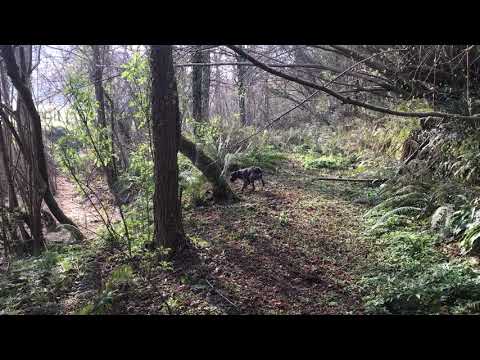 ¡¡¡Que me denuncie PACMA?