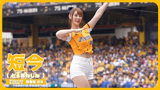 短今 Passion Sisters 中信兄弟啦啦隊  臺中洲際棒球場  2024/04/14【台湾チアTV】