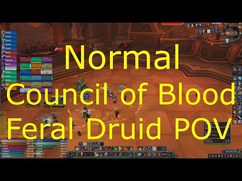 Shadowlands 9.0.2 Feral Druid POV- Normal Council of Blood Guide -Stavros-Niklaus-Freida kill Order.