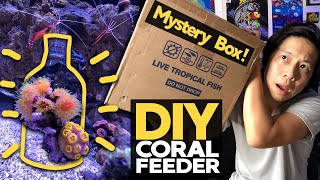 Unboxing Mystery Corals & DIY Coral Feeding Shield!! 🤓