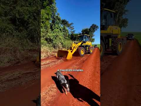 A Bruto Brasil estará presente na Feira Agro Rosário e queremos encontrar você por lá! #shorts