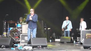 Cornbury Festival 2014: Southside Johnny &amp; The Asbury Jukes - Tango Till They&#39;re Sore