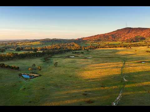333 Harcourt-Sutton Grange Road, Sutton Grange, VIC 3448, 5房, 2浴, House