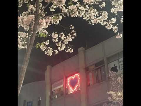 cold food - white silas