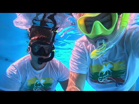 Videos del Golf Beach Resort 5★ en Sharm El Sheikh, EgiptoVer MásVerPrecios12CerrarConsulta por Whatsapp 🇦🇷BookingTripadvisorExpediaTravelocityOrbitzTripSkyscannerDespegarKayakHotelesLastminuteTui