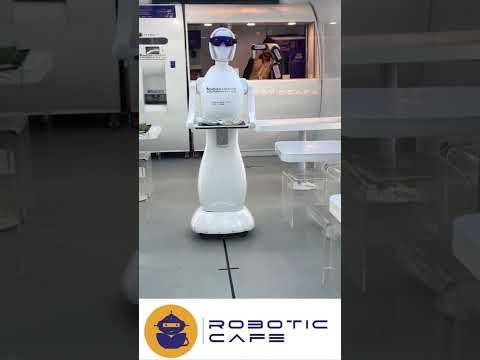 Robotic Arm videos