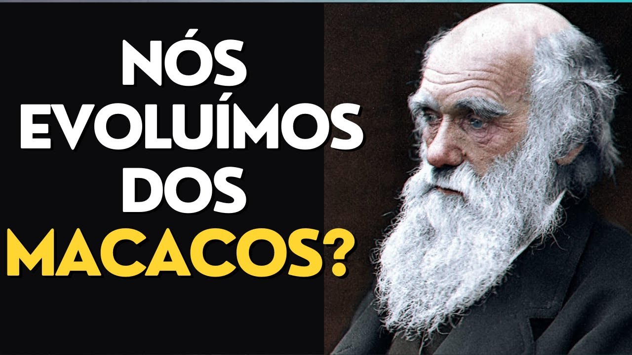 TEORIA DE DARWIN NA VISÃO ESPÍRITA I Canal Espírita Responde #41