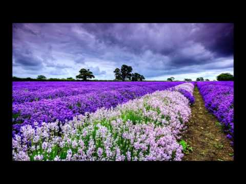 Dj Doddo vs Glaukor - Summer love (90's remix) Italodance 2014