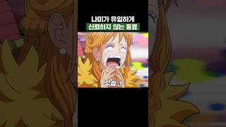 최신화) 나미가 유일하게 신뢰하지 않는 동료 #원피스
