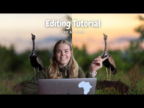Wildlife Photography Editing Tutorial
