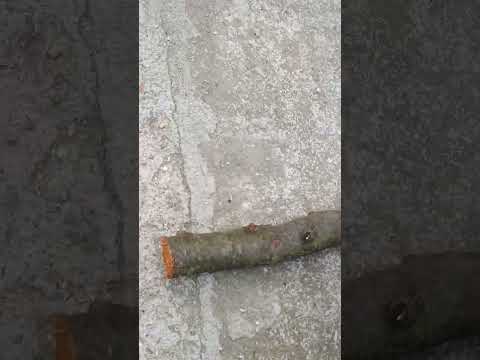 cutting trough stuff