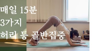 매일 15분 3가지 운동으로 허리 어깨 골반통증 을 잡아드려요 ! 돌핀자세 | 장요근강화 | 악어자세