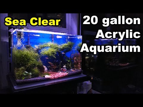 Seaclear Acrylic Aquarium