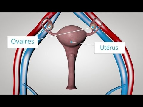 Tipul de chirurgie de mărire a penisului