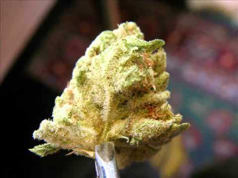 02 deliriant vs cybernetix   degenerate upe mp3