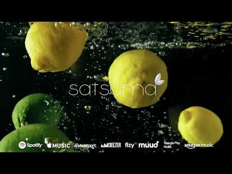 Tripton, Nevo Cohen - Your Mind (Da Da Da)