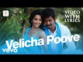 Ethir Neechal Velicha Poove Video With Lyrics Sivakarthikeyan Anirudh Ravichander